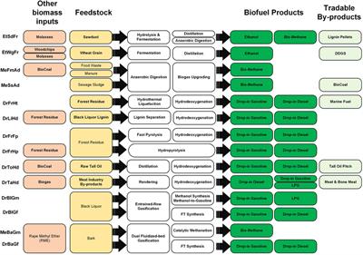 Double Yields and Negative Emissions? Resource, Climate and Cost Efficiencies in Biofuels With Carbon Capture, Storage and Utilization